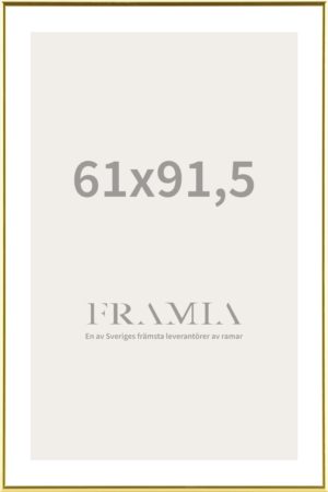Frame 61x91.5 - Framia