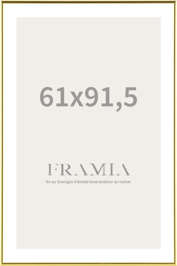 Frame 61x91.5 - Framia