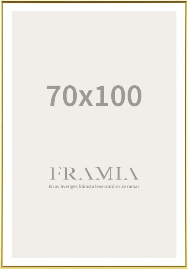 70x100 frame
