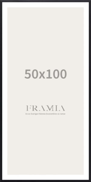 Frame 50x100 - Framia