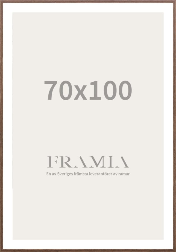 Frame 70x100(Brown) - Framia