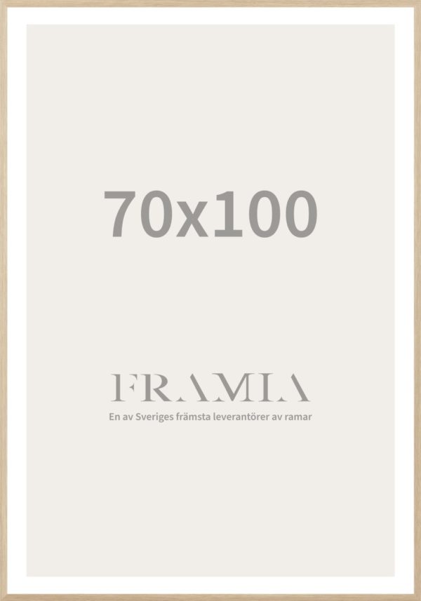 Frame 70x100(Ek) - Framia