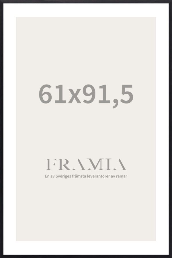 Frame 61x91.5(Svart) - Framia