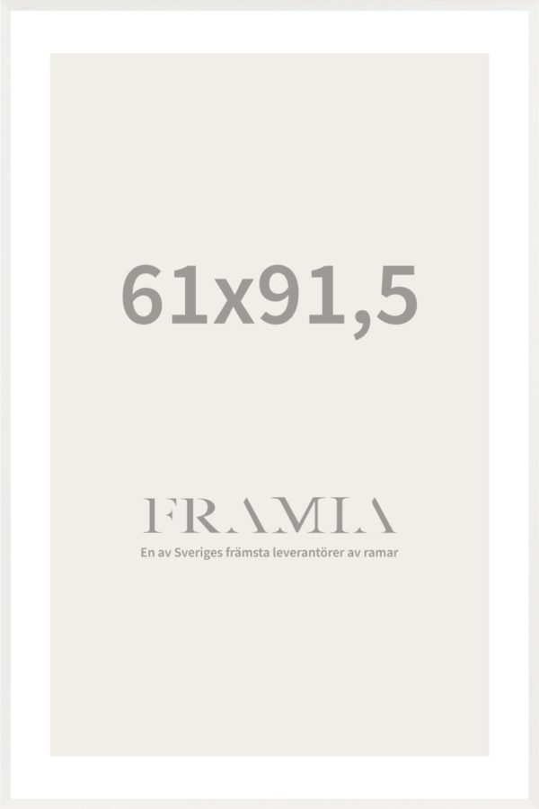 Frame 61x91.5(Vit) - Framia